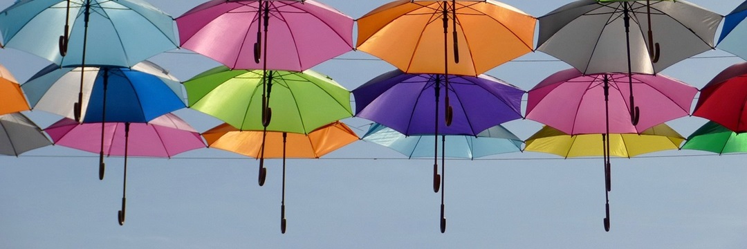 IQ Dynamics News Archives 2008 5 umbrella